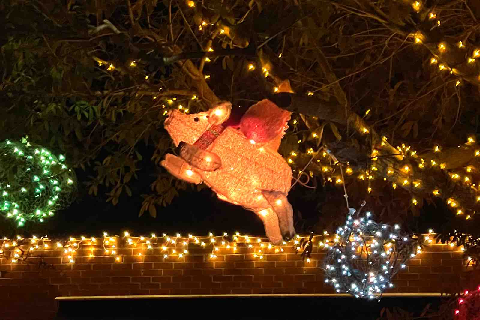 xx